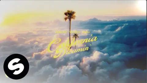 California Dreamin Features and What to Know