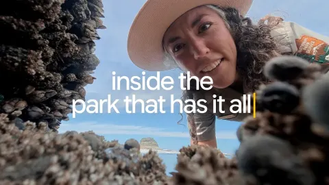Ranger Kathryn Explores Olympic National Park and Answers Top Nature Search Questions