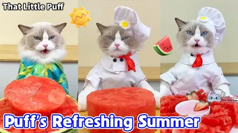 How to Make Watermelon Fries and Ice Cream in a Bag: Fun Summer Treats