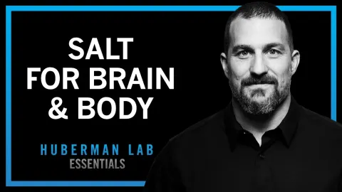 How Salt Optimizes Mental and Physical Performance: Key Insights from Neuroscience