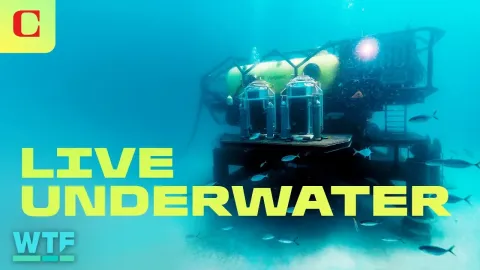 Underwater Habitat and the Natural Context