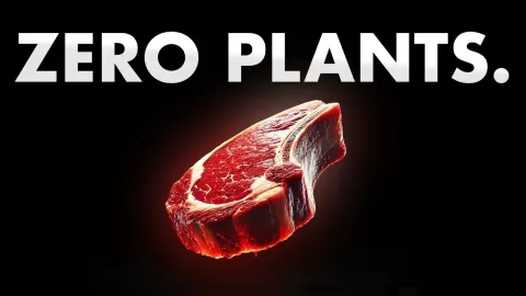 The Carnivore Diet and Its Surprising Health Benefits