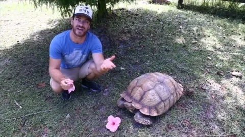 Kamp Kenan Answers the Top 5 Questions About Tortoise Care and Behavior