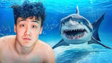 Extreme Survival Challenges From Swimming With Sharks to Military Base Infiltration
