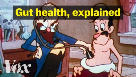 Gut Health Myths and Facts What Science Really Says