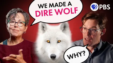 De-Extinction Science Explained The Dire Wolf Comeback and What It Means for Biodiversity