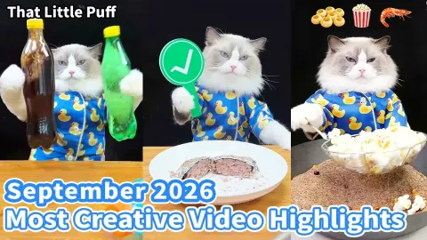 Puff September and Why It Matters