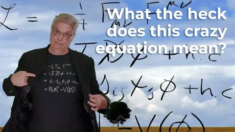 Decoding the Standard Model Lagrangian Equation