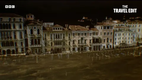 Ancient Wooden Piles Reveal How Venice Was Built on Water