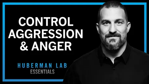 The Science of Aggression: Understanding Reactive and Proactive Types