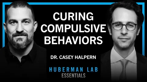Deep Brain Stimulation for Compulsive Behaviors: A Neurosurgeon Explains