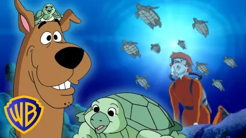 Eco-Extremist Uses Turtle Protection as Cover for Resort Scheme
