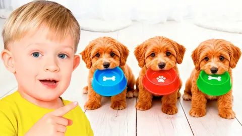 Animal Stories for Kids