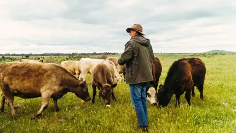 Australia's Food Security Challenges Amid Fuel and Climate Pressures