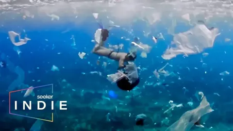 How Plastic Pollution Threatens Coastal Economies and Marine Ecosystems