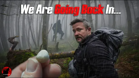 Exploring the Mystery of Polished Quartz Rocks in Bigfoot Territory