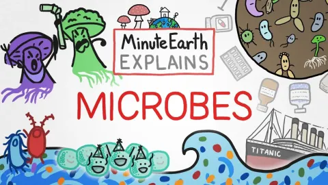 The Hidden World of Microbes How Tiny Organisms Shape Our Food Health and Environment