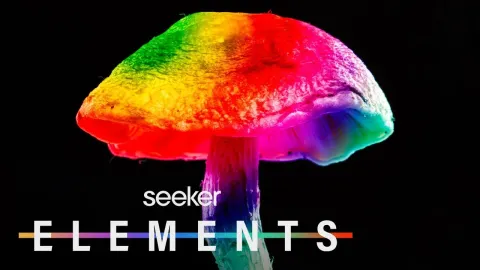 Psychedelic Mushrooms Show Promise in Treating Depression Compared to Traditional Antidepressant