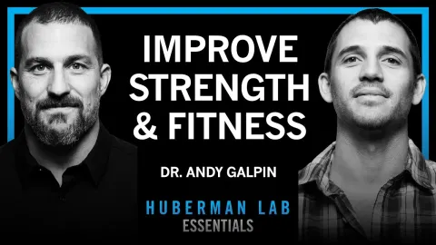 How to Build Strength, Muscle Size, and Endurance: Essential Training Principles