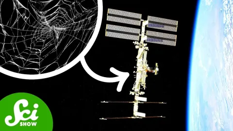 Five Strange Discoveries Made Possible by the International Space Station