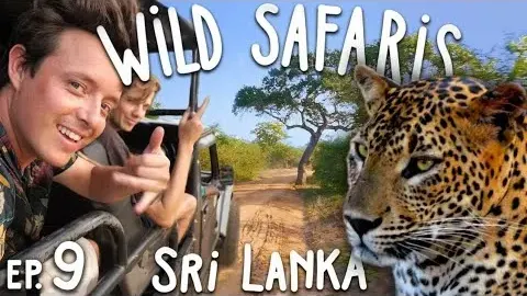Sri Lanka Travel Guide and Tips