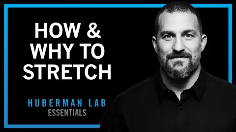 Research-Backed Stretching Protocols to Improve Flexibility