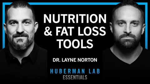 How Your Body Uses Food for Energy, Muscle Growth and Fat Loss
