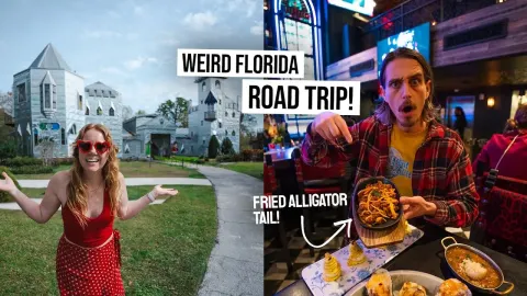 Florida's Weirdest Road Trip: 6 Bizarre Attractions You Have to See to Believe