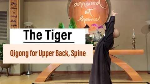Tiger Qigong Stretches for Upper Back and Spine Relief
