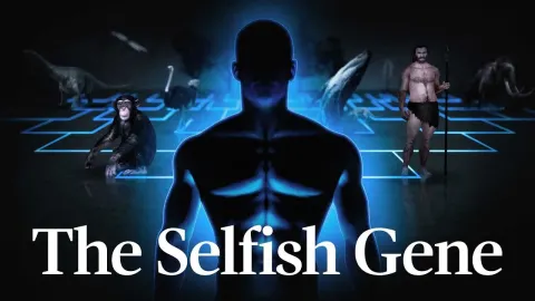 Why Altruism Exists: The Gene's Eye View of Evolution