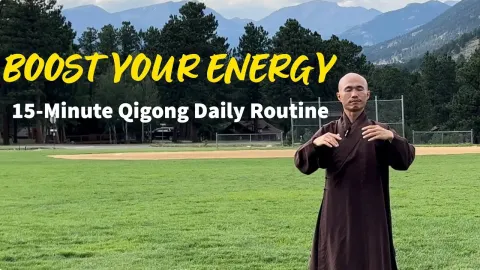Qigong Organs Facts Risks and Advice