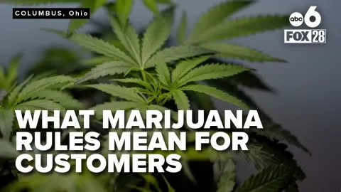 Ohio's New Marijuana Rules Cut THC Limits and Change What Shoppers Can Buy