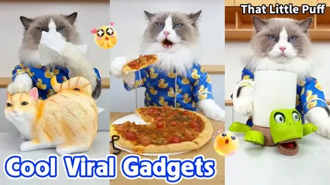 Must-See Viral Gadgets That Will Blow Your Mind