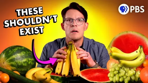 The Hidden Risks of Seedless Fruits and What They Mean for Our Food Supply