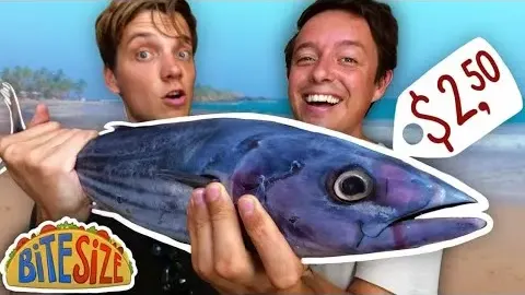 Sri Lankan Tuna Challenge Budget Chef Takes On Pro Chef With $2.50 Fish