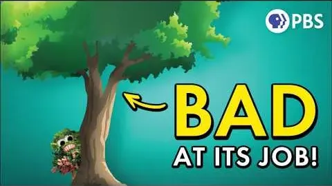 The Critical Flaw in Photosynthesis and How Scientists Plan to Fix It