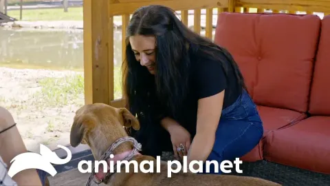 A First-Time Adopter Finds Her Perfect Match at a Rescue Shelter