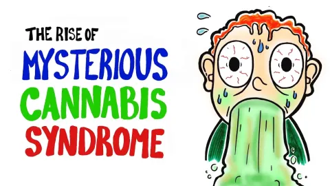 The Science Behind Cannabis Hyperemesis Syndrome and Its Link to Legalization