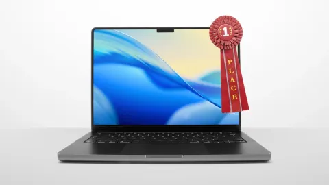 Chip Apple Features and What to Know