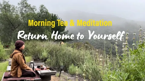 Morning Tea and Meditation Practice for Returning Home to Yourself