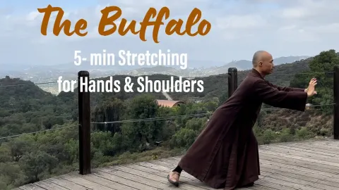 Five Minute Qigong Routine to Stretch Hands and Shoulders for Deep Relaxation