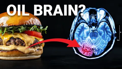 How a Common Cooking Oil May Be Shrinking Your Brain and Lowering IQ