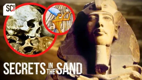 Ancient Egyptian Hand Discovery Reveals Gruesome Battle Ritual