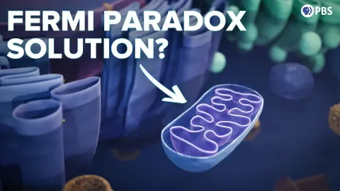A Simple Solution to the Fermi Paradox May Lie in a Single Lucky Event