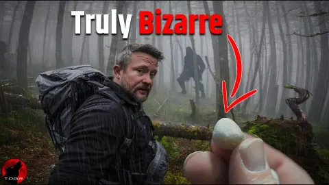 Searching for Bigfoot Led to a Discovery of Mysterious Ancient Stones
