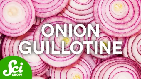 The Science Behind Onion Tears and How to Prevent Them