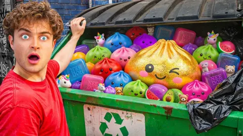 Mystery Dumpling Toys Found in a Dumpster Lead to an Unexpected Address Clue