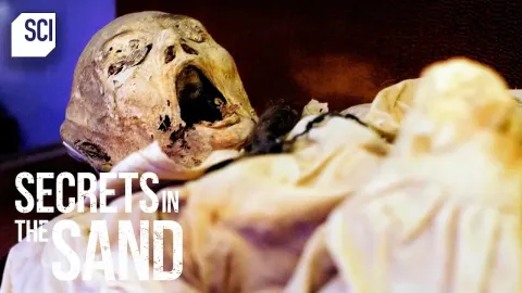 The Screaming Mummy of Luxor: A Mysterious Discovery in the Valley of the Kings