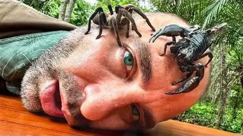Coyote Peterson Hospitalized After Eating Live Bugs in Thailand