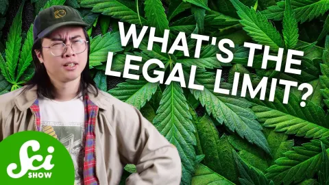 You Limit Features and What to Know